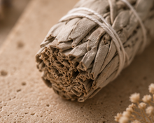Sacred Sage Cleansing Bundle